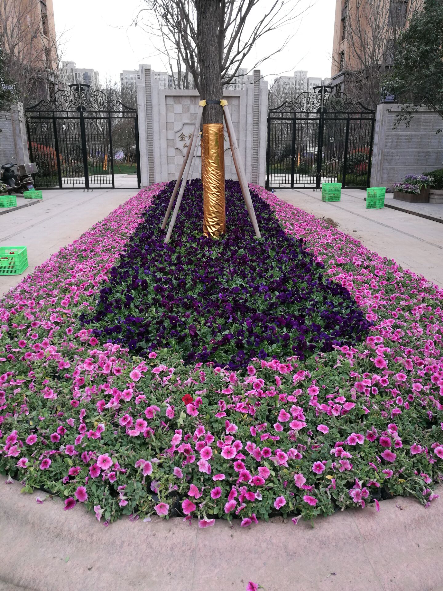 慶典綠色植物造型制作 慶典綠色植物造型制作擺花