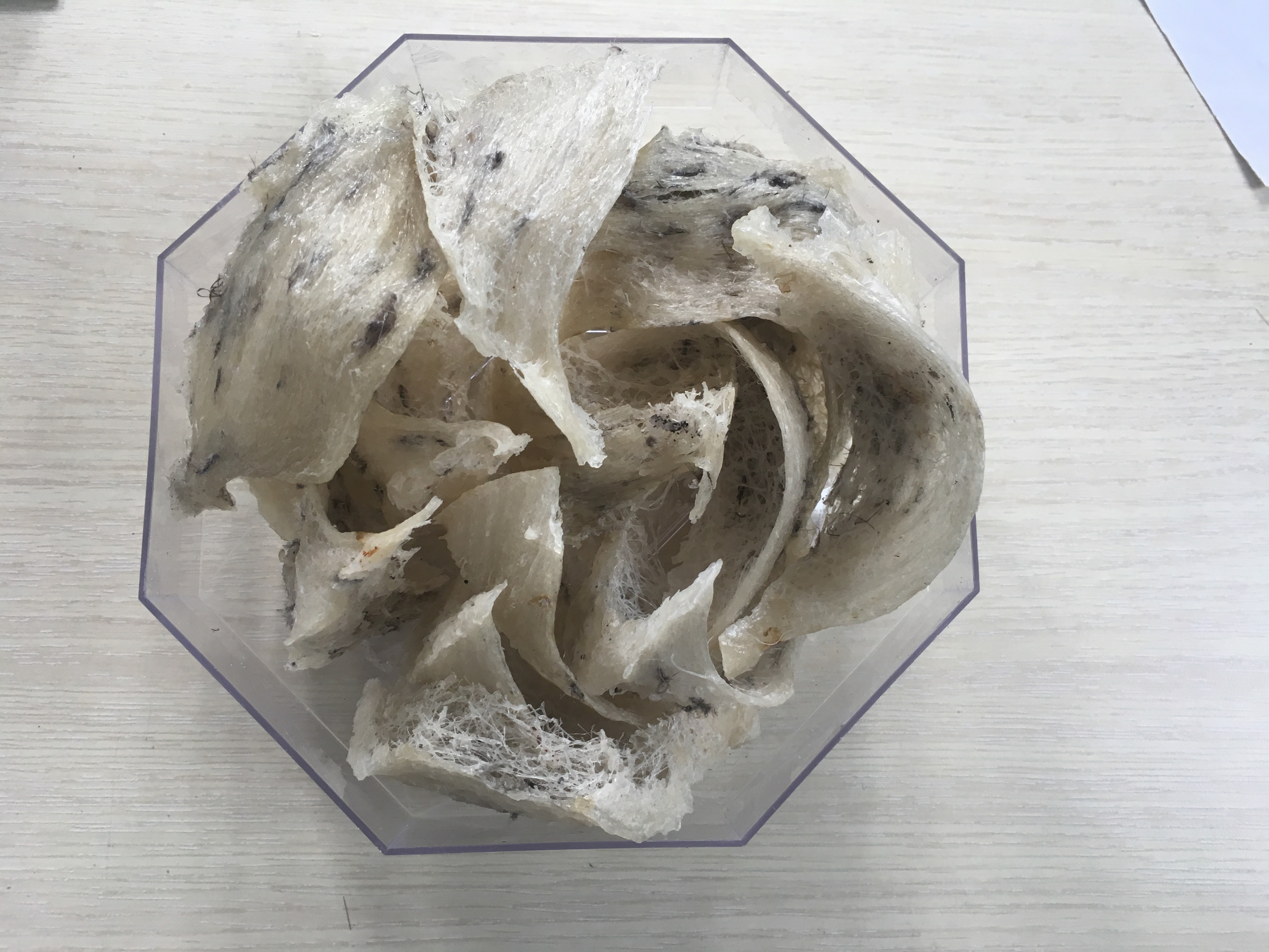 越南自然養(yǎng)殖燕窩