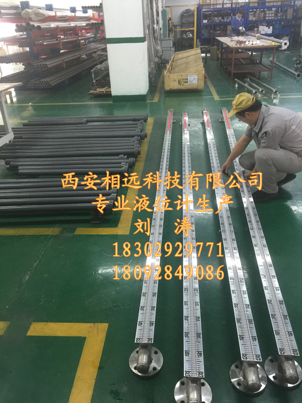 新疆防腐型304襯PTFE液位計(jì)