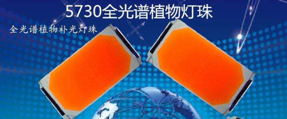 全光譜LED光源5730燈珠