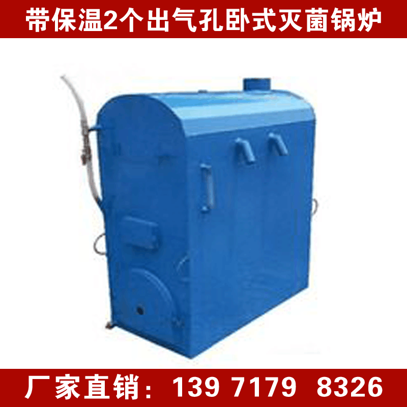 食用菌*鍋爐 食用菌常壓*鍋爐  食用菌用常壓蒸汽鍋爐