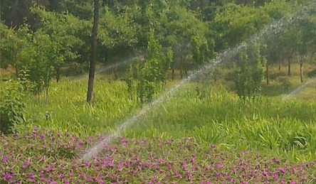 石家莊廠家批發(fā)-噴頭噴槍-取水閥
