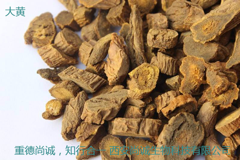 大黃素* 大黃提取物