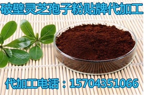 靈芝孢子粉代加工