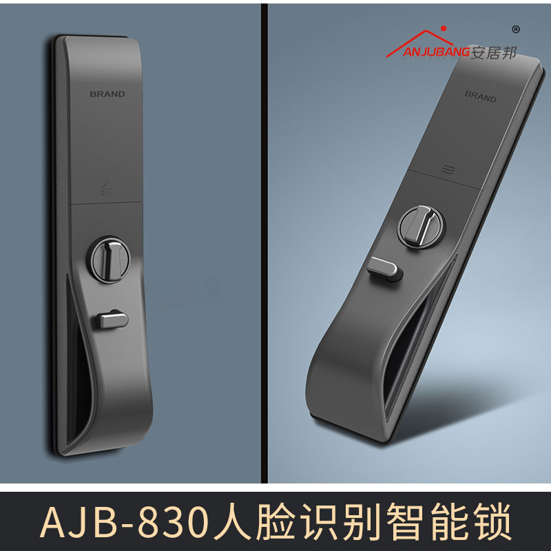 廠家直銷 AJB-830人臉識別智能鎖 人臉識別門鎖智能鎖 面部識別防盜鎖