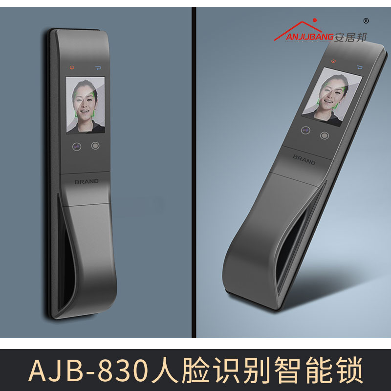 廠家直銷 AJB-830人臉識別智能鎖 人臉識別門鎖智能鎖 面部識別防盜鎖