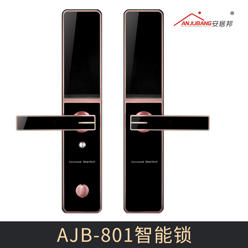 廠家直銷 AJB-801智能鎖 多功能智能門鎖 家庭指紋密碼鎖 智能防盜指紋鎖