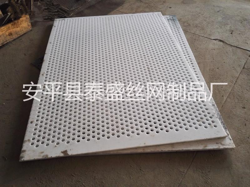 洗煤廠塑料篩板 塑料孔板 塑料濾水孔板 塑料沖孔網(wǎng)