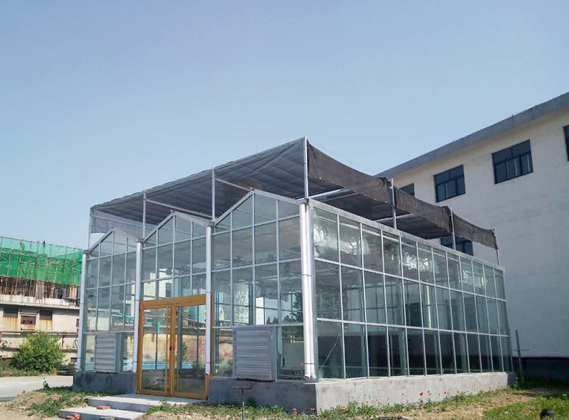 蔬菜玻璃溫室 保溫蔬菜玻璃溫室 專業(yè)建設蔬菜玻璃溫室廠廠家直銷