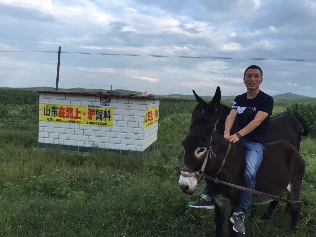 在路上驢飼料 山東在路上驢飼料 山東在路上驢飼料，好驢飼料 新疆在路上驢飼料，好驢飼料