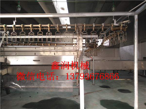 大鵝吊宰流水線生產(chǎn)銷售鑫潤機(jī)械