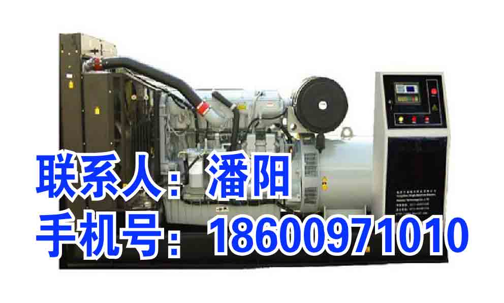 河北發(fā)電機出租哪里有