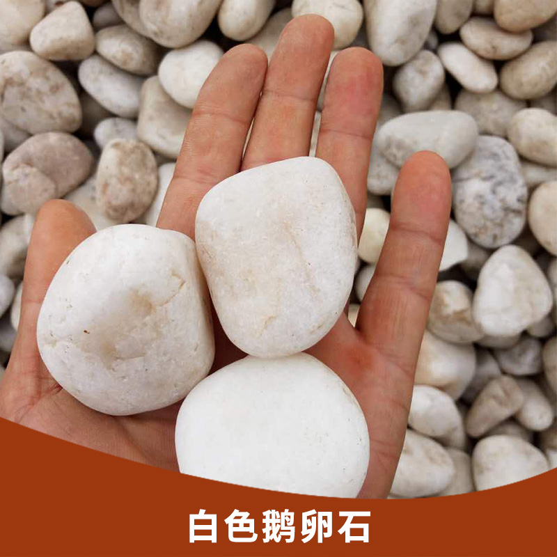 白色鵝卵石 園藝用白色小石頭園林鋪路造景用白石子 地坪用石米