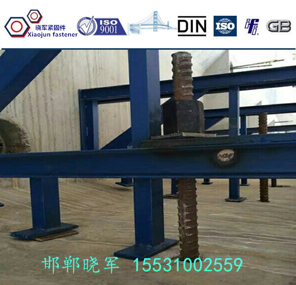 優(yōu)質(zhì)精軋螺紋鋼  精軋螺紋鋼材質(zhì) PSB785 執(zhí)行標(biāo)準(zhǔn) GB/t14370-2016河北廠家直銷