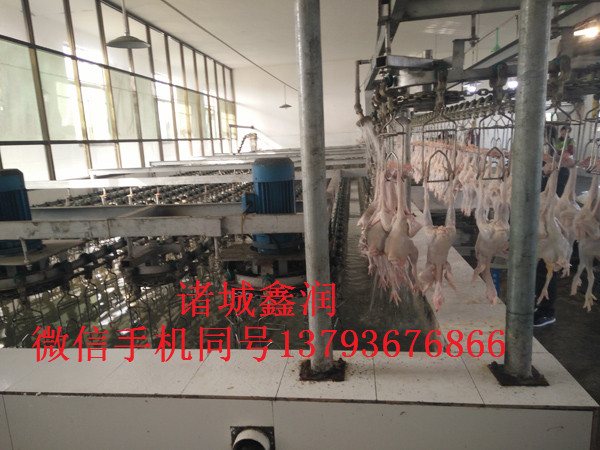 雞鴨鵝宰殺流水線制造銷售