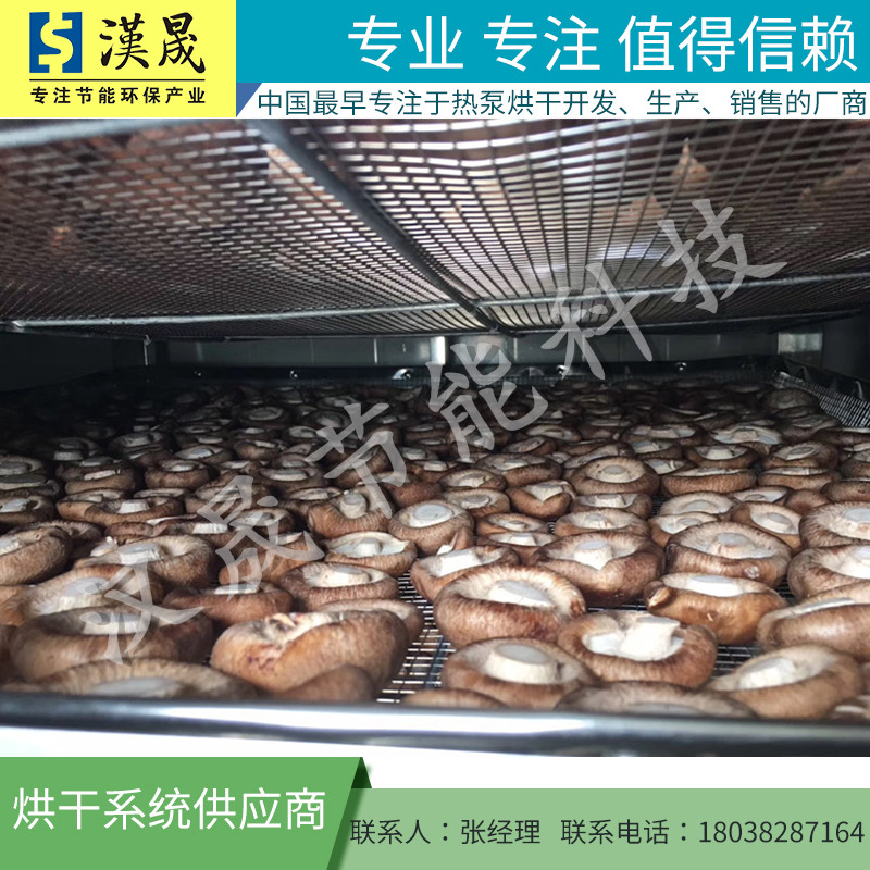 果蔬烘干機(jī) 果蔬烘干設(shè)備 果蔬烘干房 果蔬烘干