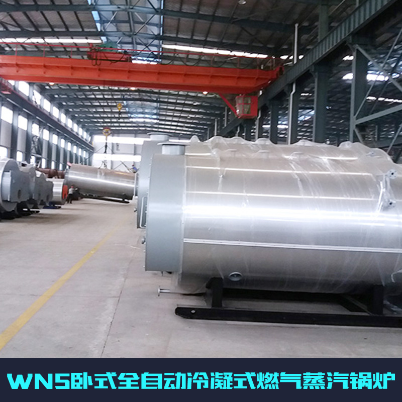 供應(yīng)廠家直銷燃煤蒸汽熱水鍋爐