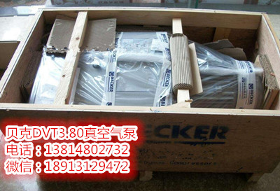德國(guó)貝克DVT3.80真空泵｜德國(guó)BECKER真空泵｜DVT3.80復(fù)合真空泵