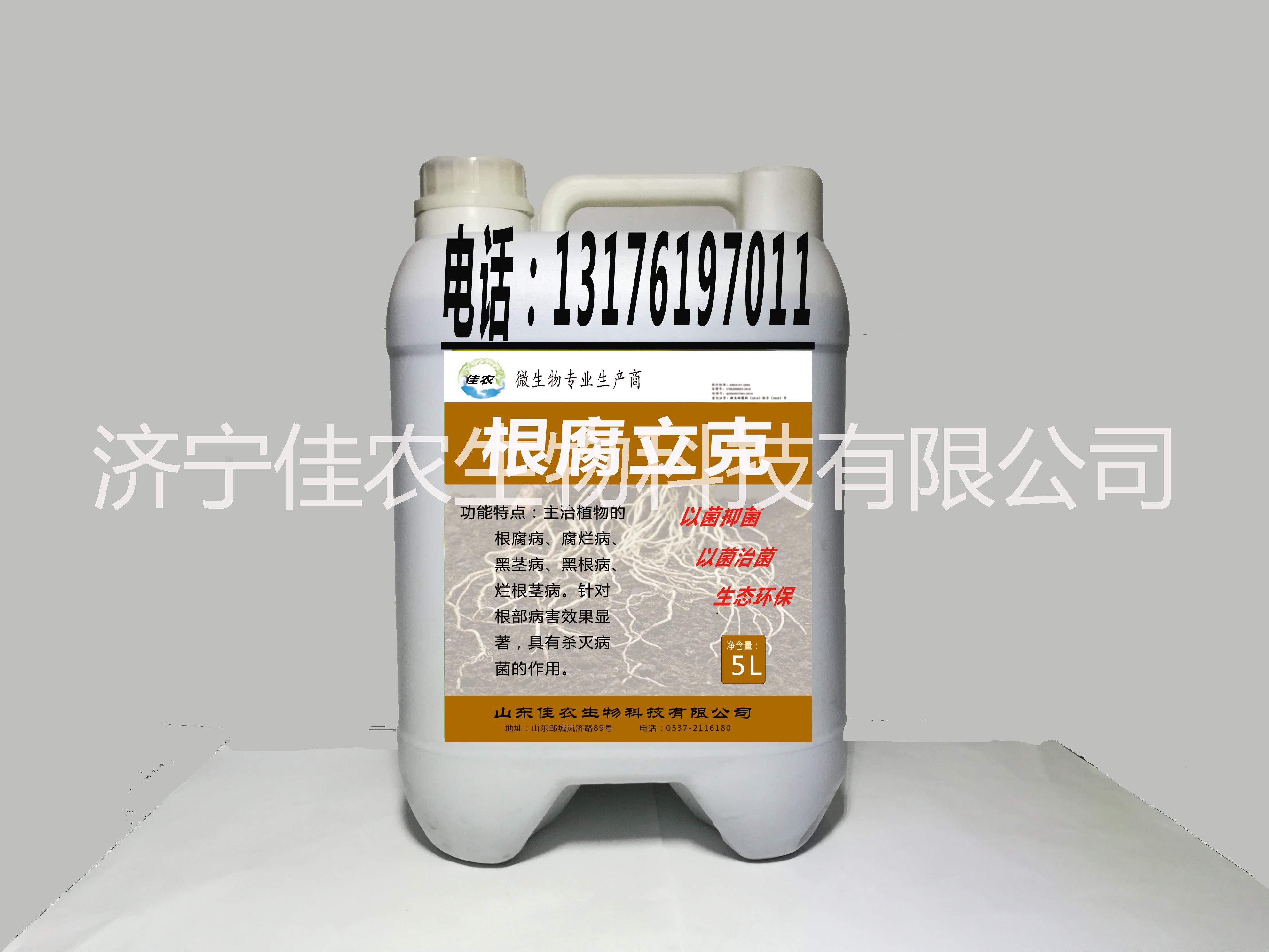 供應【根腐立克】微生物菌液銷售 以菌抑菌 以菌治菌 生態(tài)環(huán)保 山東佳農 根腐立克微生物菌液銷售