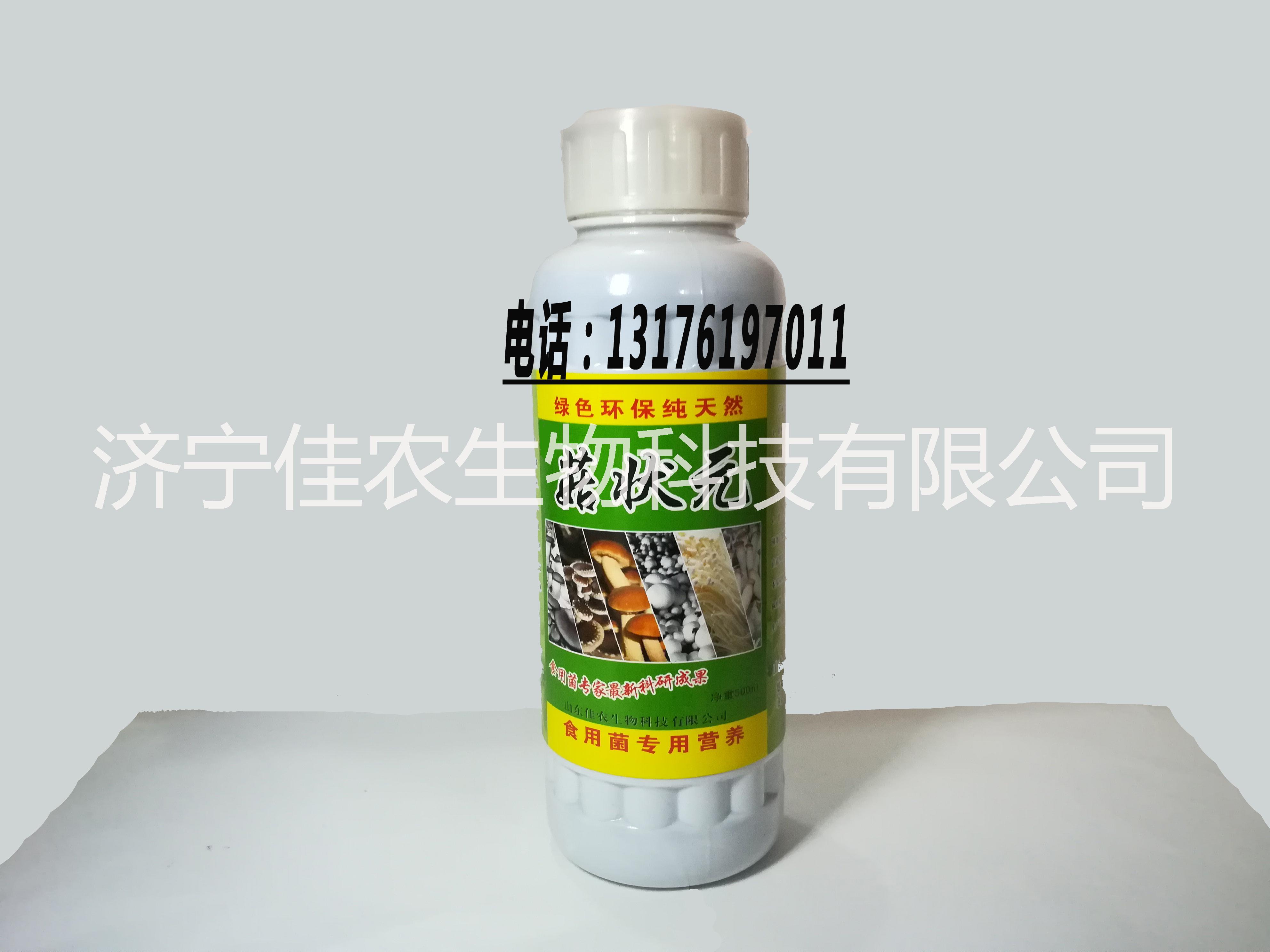 生產(chǎn)批發(fā)【菇狀元】食用菌大棚批發(fā)銷(xiāo)售 出菇率高