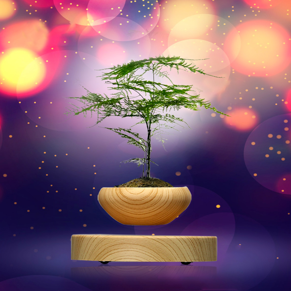 創(chuàng)意新奇植物禮品 創(chuàng)意空中磁懸浮小木紋盆栽科技家居擺件 新奇植物漂浮花盆