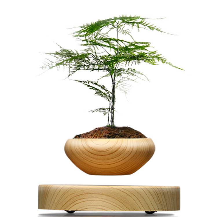 創(chuàng)意新奇植物禮品 創(chuàng)意空中磁懸浮小木紋盆栽科技家居擺件 新奇植物漂浮花盆