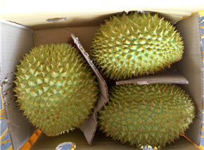 果然優(yōu)進(jìn)口水批發(fā)商 越南干堯榴蓮