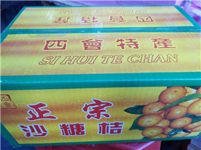 四會(huì)沙糖桔 全國(guó)配送 柑橘橙 *四會(huì)沙糖桔