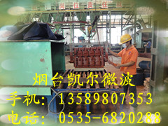 發(fā)動(dòng)機(jī)缸體缸蓋水劑涂料表干爐 覆膜砂微波固化爐  樹脂砂水劑涂