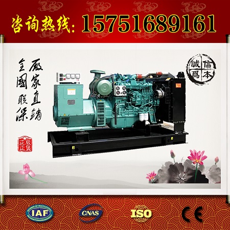廣西玉柴250KW柴油發(fā)電機(jī)組.震動(dòng)小噪音定