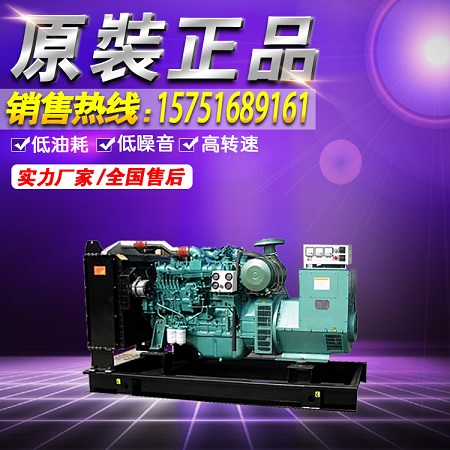 廣西玉柴250KW柴油發(fā)電機(jī)組.震動(dòng)小噪音定