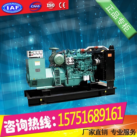 廣西玉柴250KW柴油發(fā)電機(jī)組.震動(dòng)小噪音定