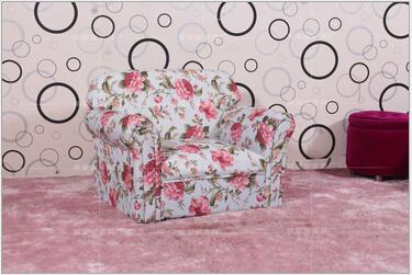 小沙發(fā)椅 ，順德小沙發(fā)椅供應(yīng)商，順德小沙發(fā)椅廠家，順德小沙發(fā)椅批發(fā)報(bào)價(jià)