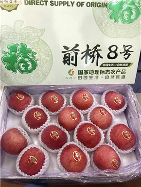前橋8號蘋果 國產(chǎn)蘋果中的* 送禮倍有面子