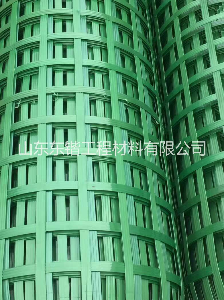 PET雙向格柵_PET雙向格柵優(yōu)質(zhì)供應商_PET雙向格柵生產(chǎn)廠家_PET雙向格柵價格