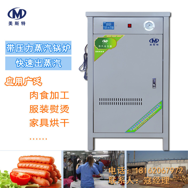 高壓鍋爐 帶壓力燃?xì)庹羝l(fā)生器