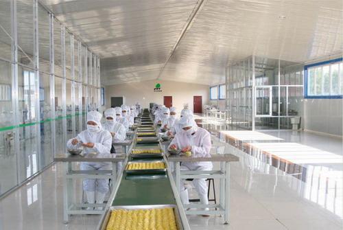 QS潔凈車間QS/GMP車間、凈化裝修、廣州凈化裝修、QS潔凈車間凈化裝修