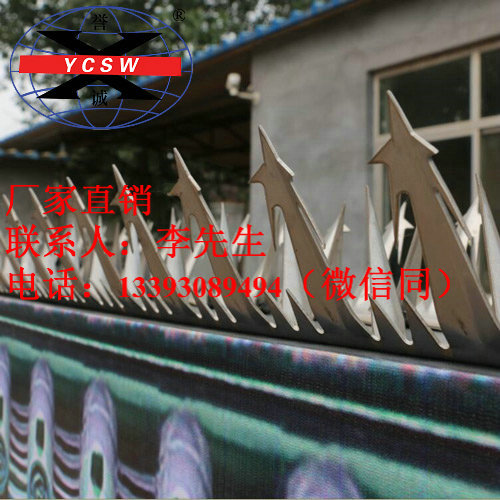 不銹鋼刺釘丨不銹鋼防爬刺釘