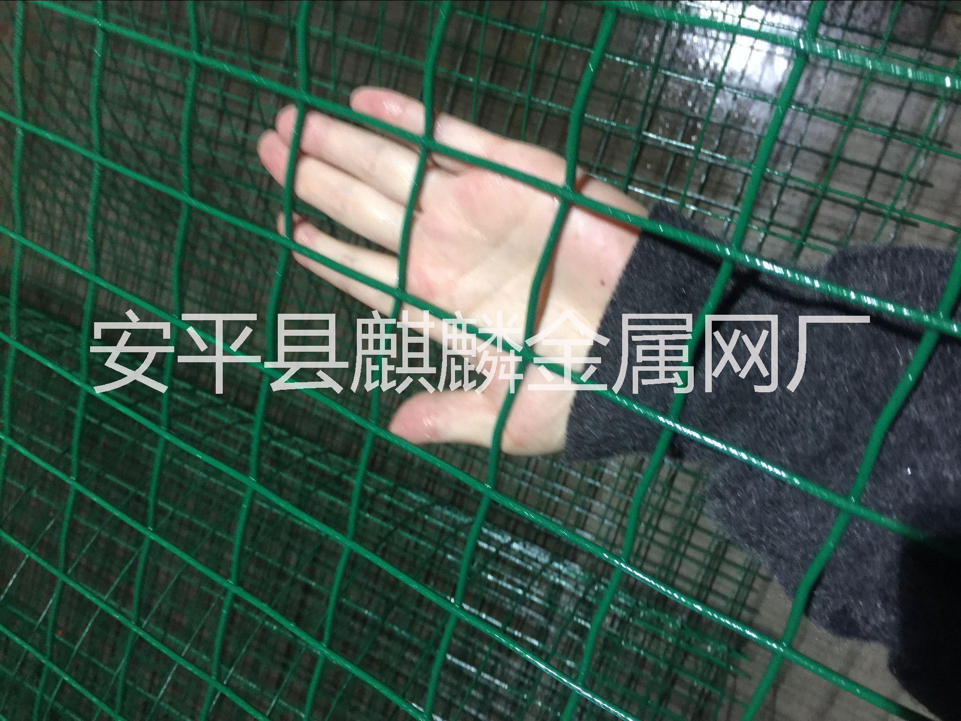 供應(yīng)現(xiàn)貨鐵絲網(wǎng)/養(yǎng)殖荷蘭網(wǎng)批發(fā)