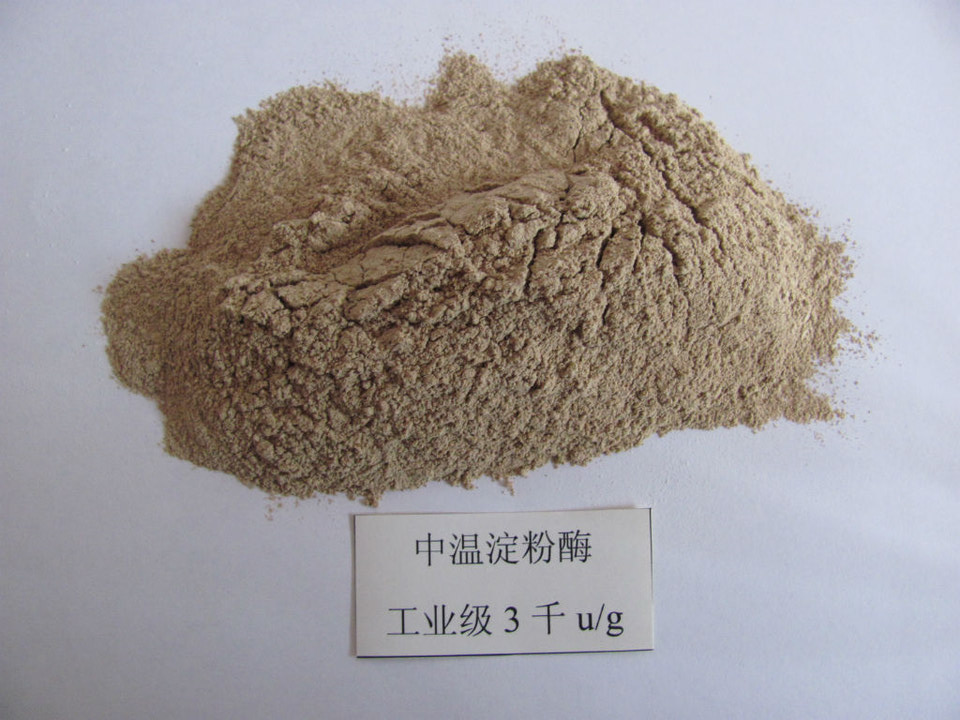 供應(yīng)中溫α-淀粉酶，發(fā)酵*液化酶，食品級中溫α-淀粉酶