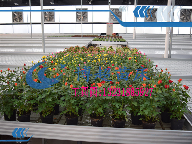 新型設(shè)計全自動苗床廠家-潮汐苗床