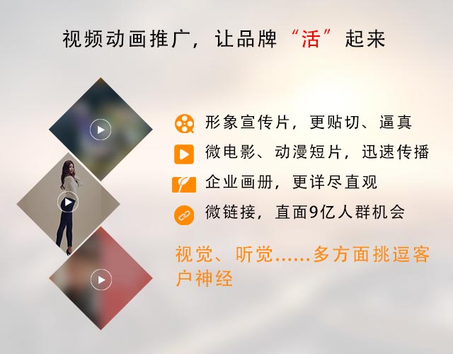 電視臺訪談廣告欄目明星*公司蘇州明星活動出席