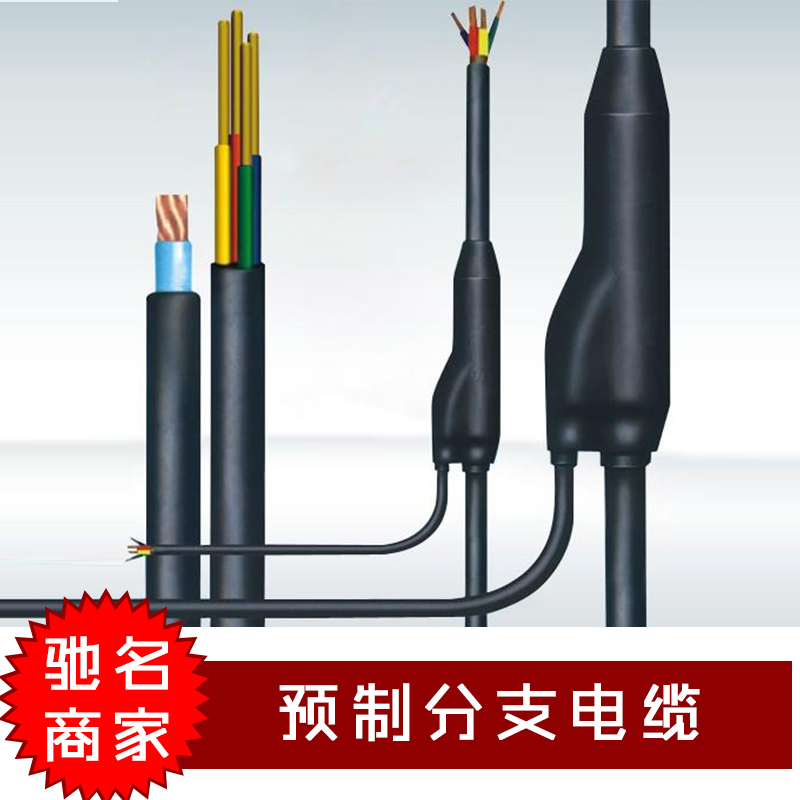江蘇預(yù)制分支電纜廠家批發(fā)，江蘇預(yù)制分支電纜批發(fā)價(jià)，江蘇江蘇預(yù)制分支電纜報(bào)價(jià)/價(jià)格