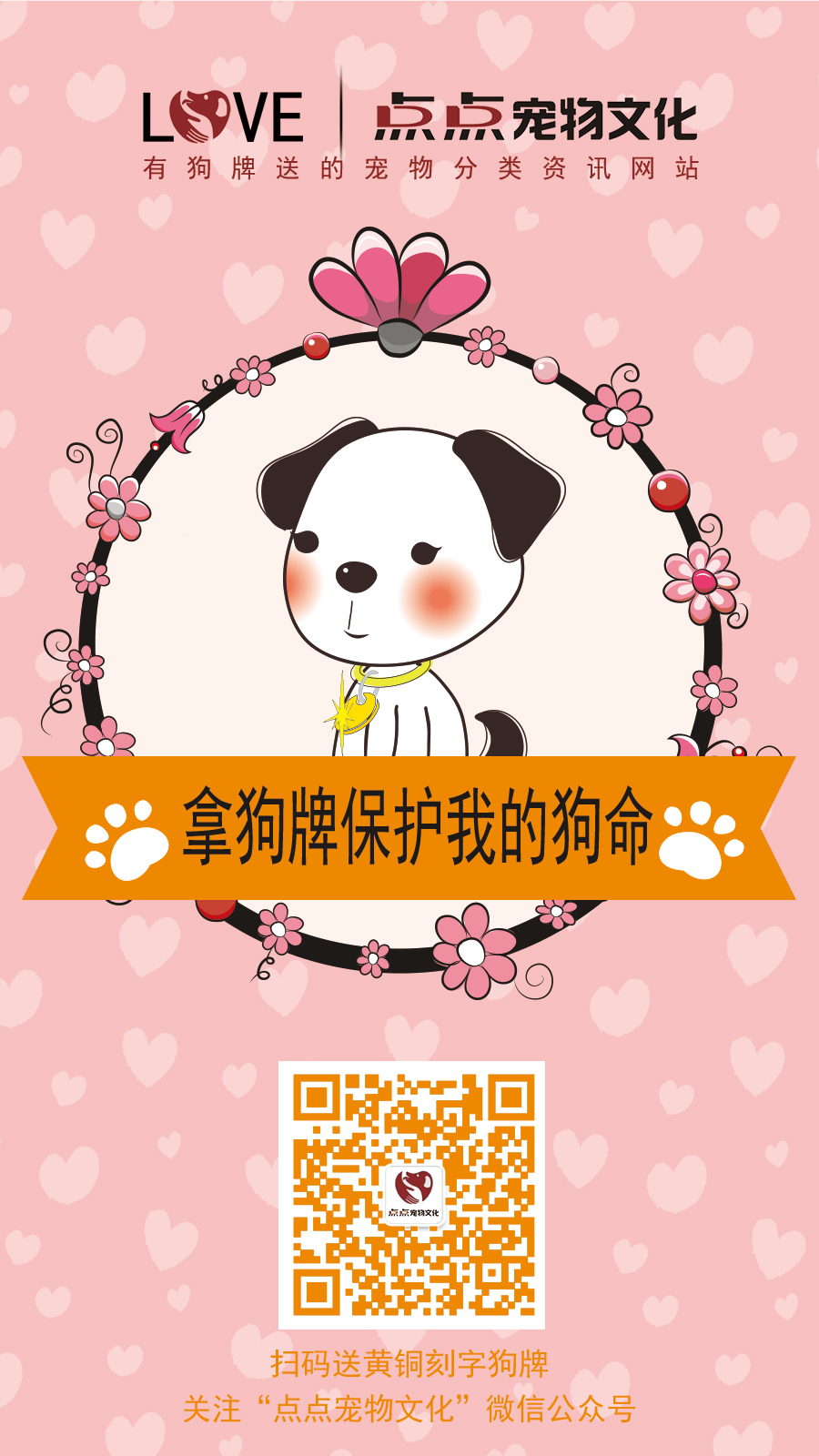 點(diǎn)點(diǎn)寵物文化———有狗牌送的寵物