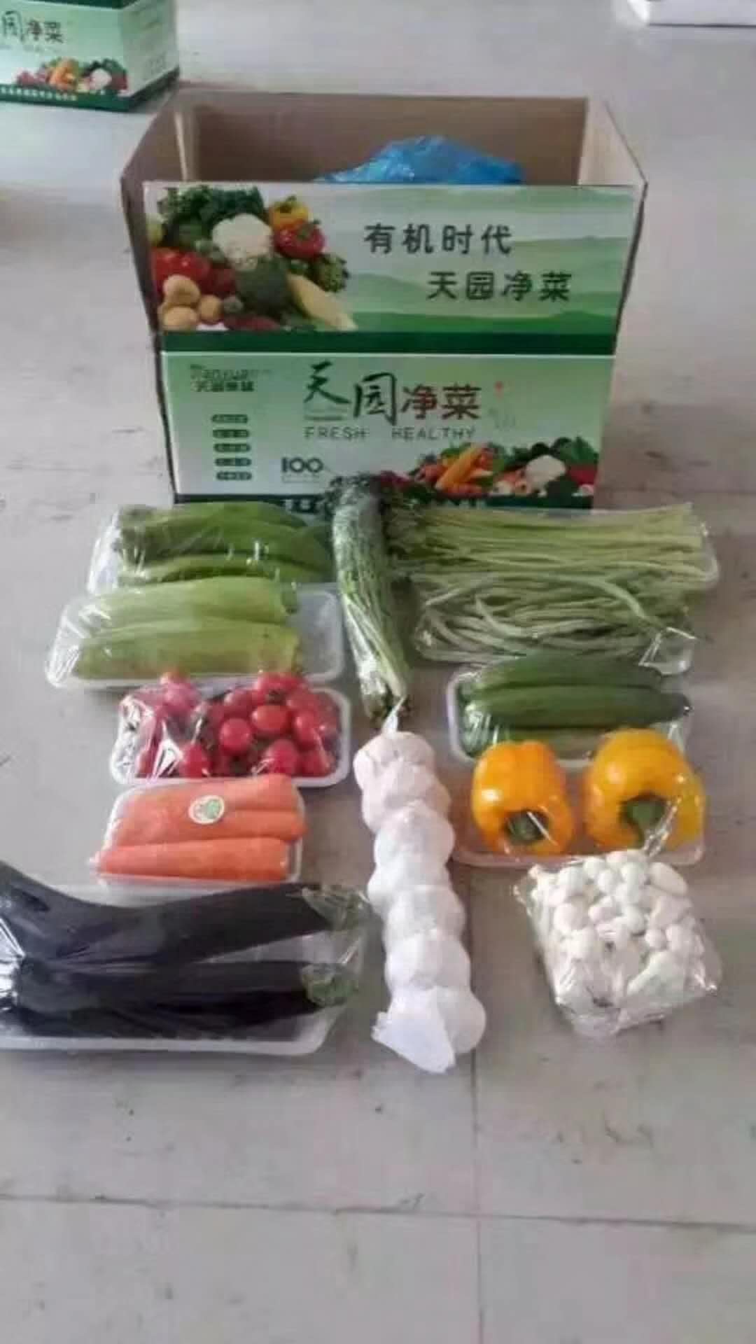 山東茄子報價廠家直銷 廣州茄子報價 深圳茄子批發(fā) 聊城茄子廠家