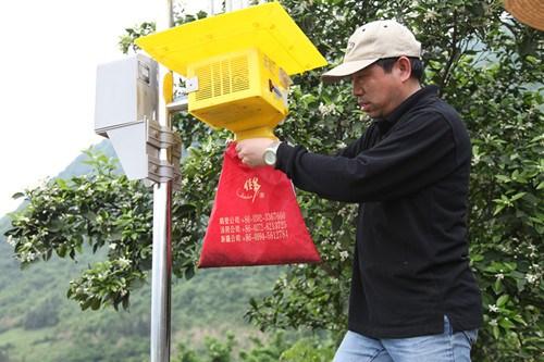 福建太陽能殺蟲燈廠家 茶園太陽能殺蟲燈廠家
