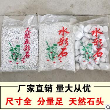 白機石雨花石多肉鋪面石 天然白石子白機石