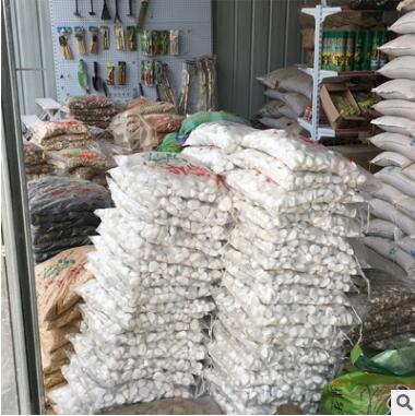 白機石雨花石多肉鋪面石 天然白石子白機石