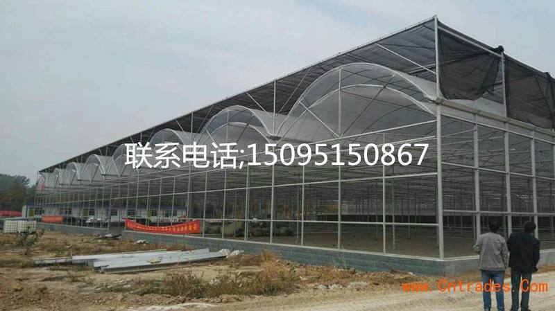 專業(yè)生產(chǎn)日光溫室廠家，四川專業(yè)生產(chǎn)日光溫室廠家，成都專業(yè)生產(chǎn)日光溫室廠家