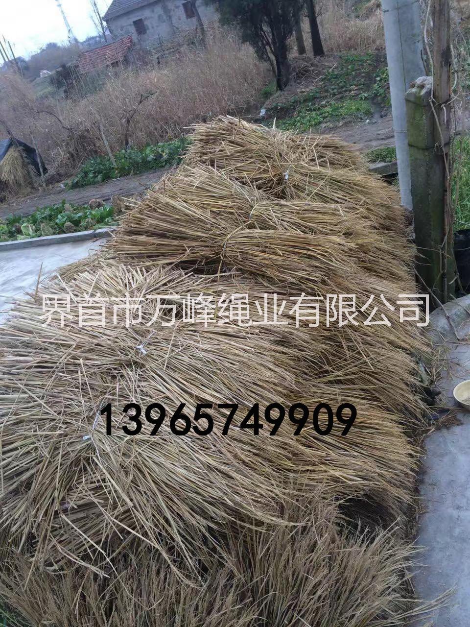 全新料塑料繩子打包繩撕裂帶大盤繩水稻割捆繩 打捆機捆草繩